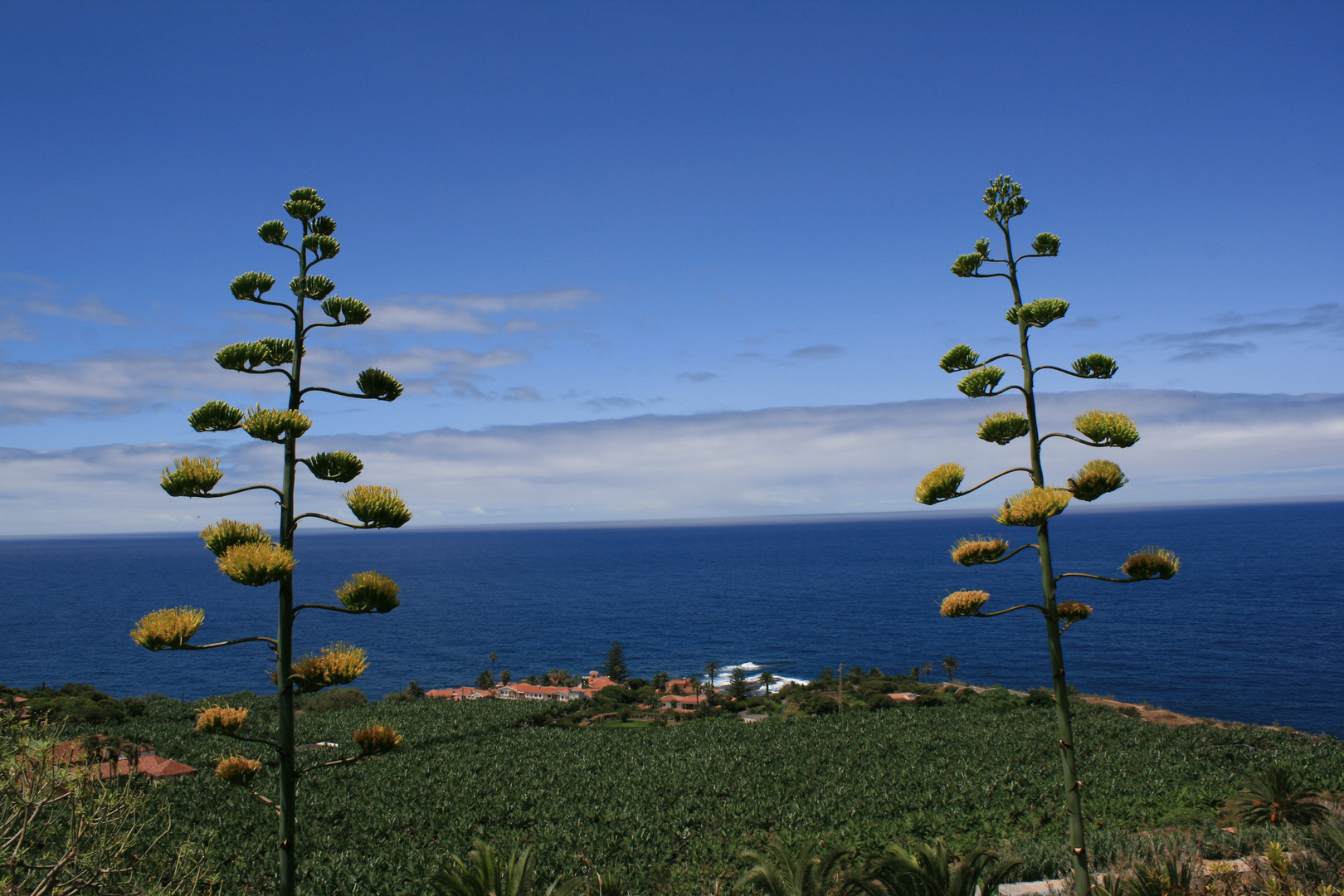 Am Mirador de San Pedro