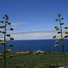 Am Mirador de San Pedro