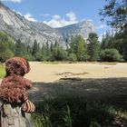 Am Mirror Lake im Yosemite NP