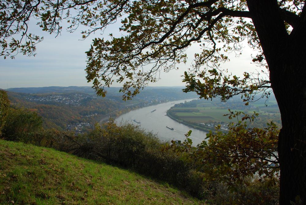 Am Mittelrhein