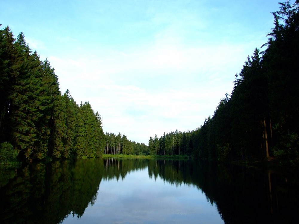 Am mittleren Grumbacher Teich