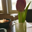 am Mittwoch ....Tulpen 