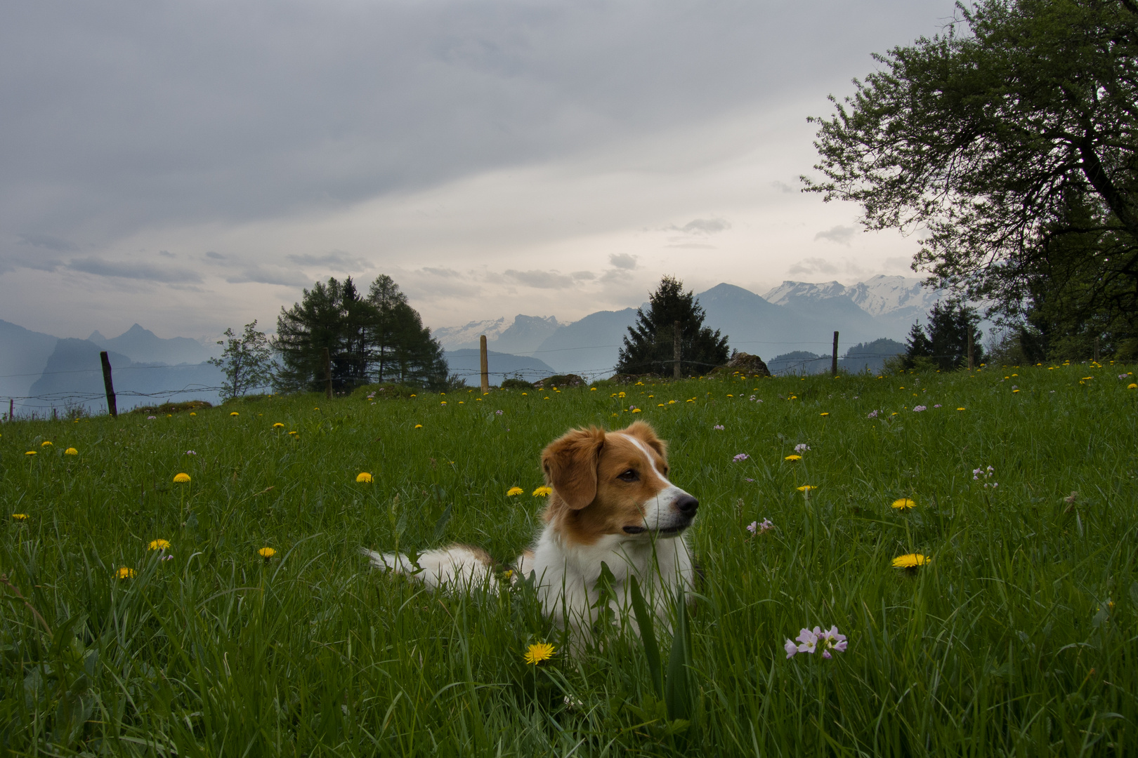 Am Mittwoch war Wandertag mit Lenny / 2