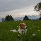 Am Mittwoch war Wandertag mit Lenny / 2