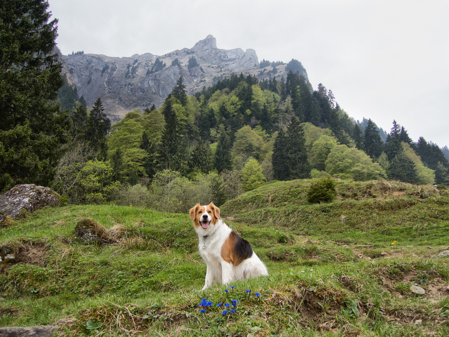 Am Mittwoch war Wandertag mit Lenny