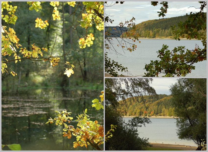 Am Möhnesee...