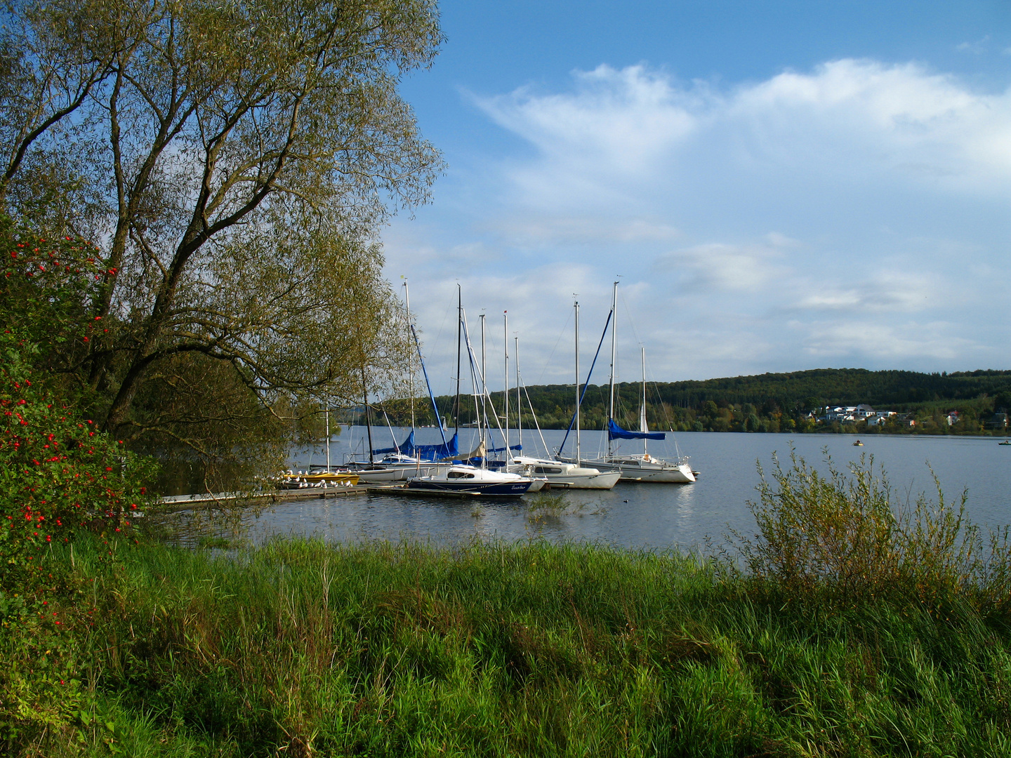 Am Möhnesee bei Körbecke