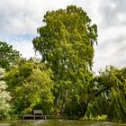 Am Möllner See /SchleswigHolstein 