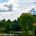 Am Möllner See /SchleswigHolstein 