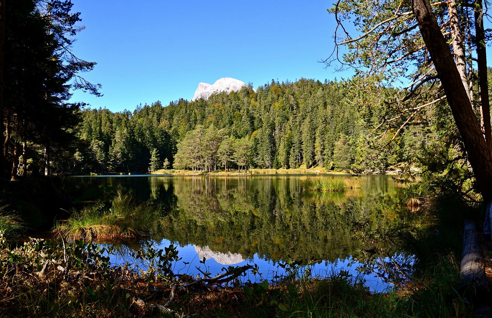 Am Möserer See