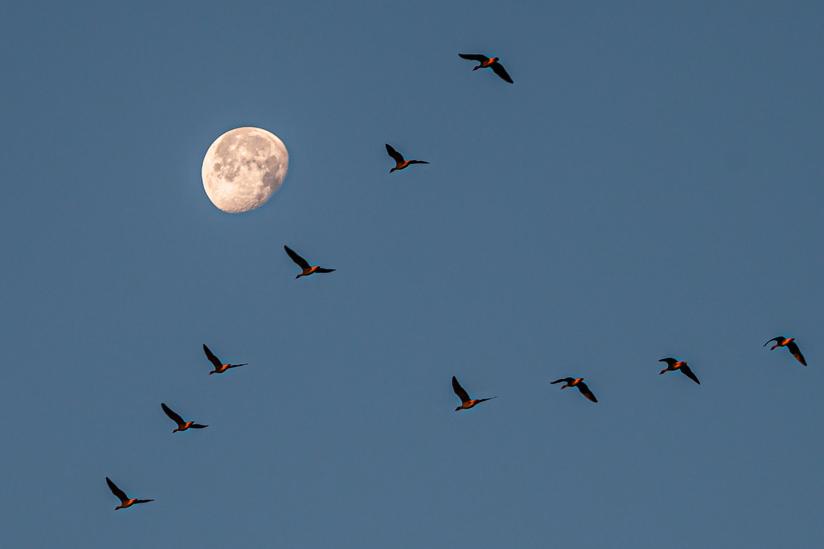 Am Mond vorbei Richtung Süden