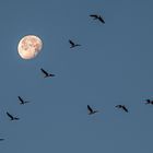 Am Mond vorbei Richtung Süden