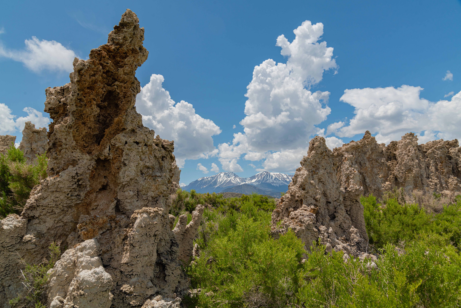 am Mono Lake