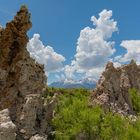 am Mono Lake