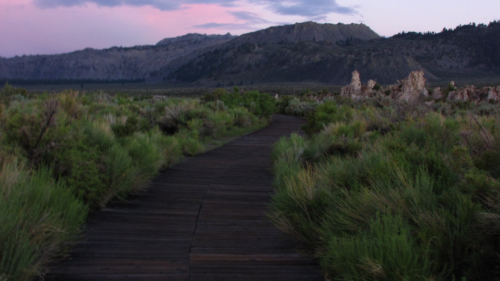 Am Mono Lake