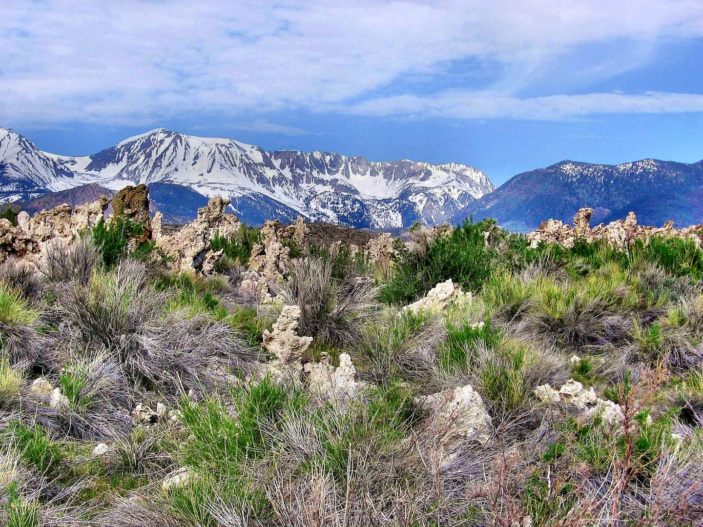 am Mono Lake