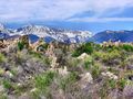 am Mono Lake by gerda schmid 