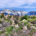 am Mono Lake