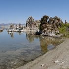 am Mono Lake