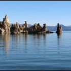 Am Mono Lake