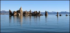 Am Mono Lake