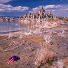 Am Mono Lake