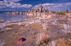 Am Mono Lake