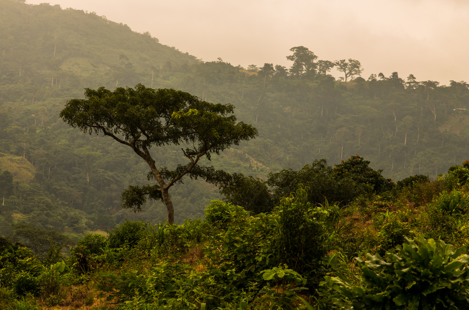 Am Mont Agou (Togo)