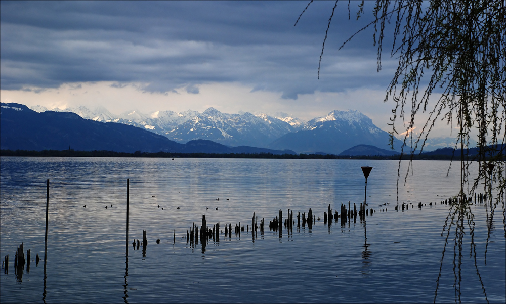 Am Montagmorgen