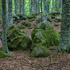 Am Monte Amiata - Toskana