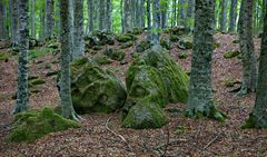 Am Monte Amiata - Toskana