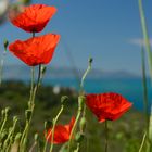 Am Monte Argentario