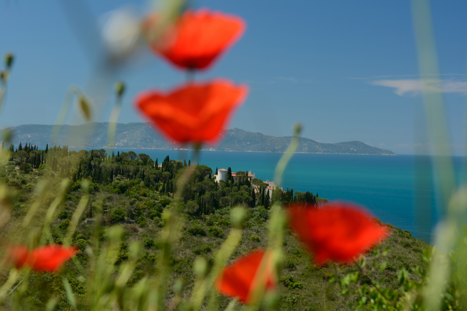 Am Monte Argentario gibt es die schönsten Aussichten