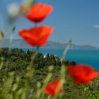 Am Monte Argentario gibt es die schönsten Aussichten