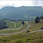 Am Monte Baldo