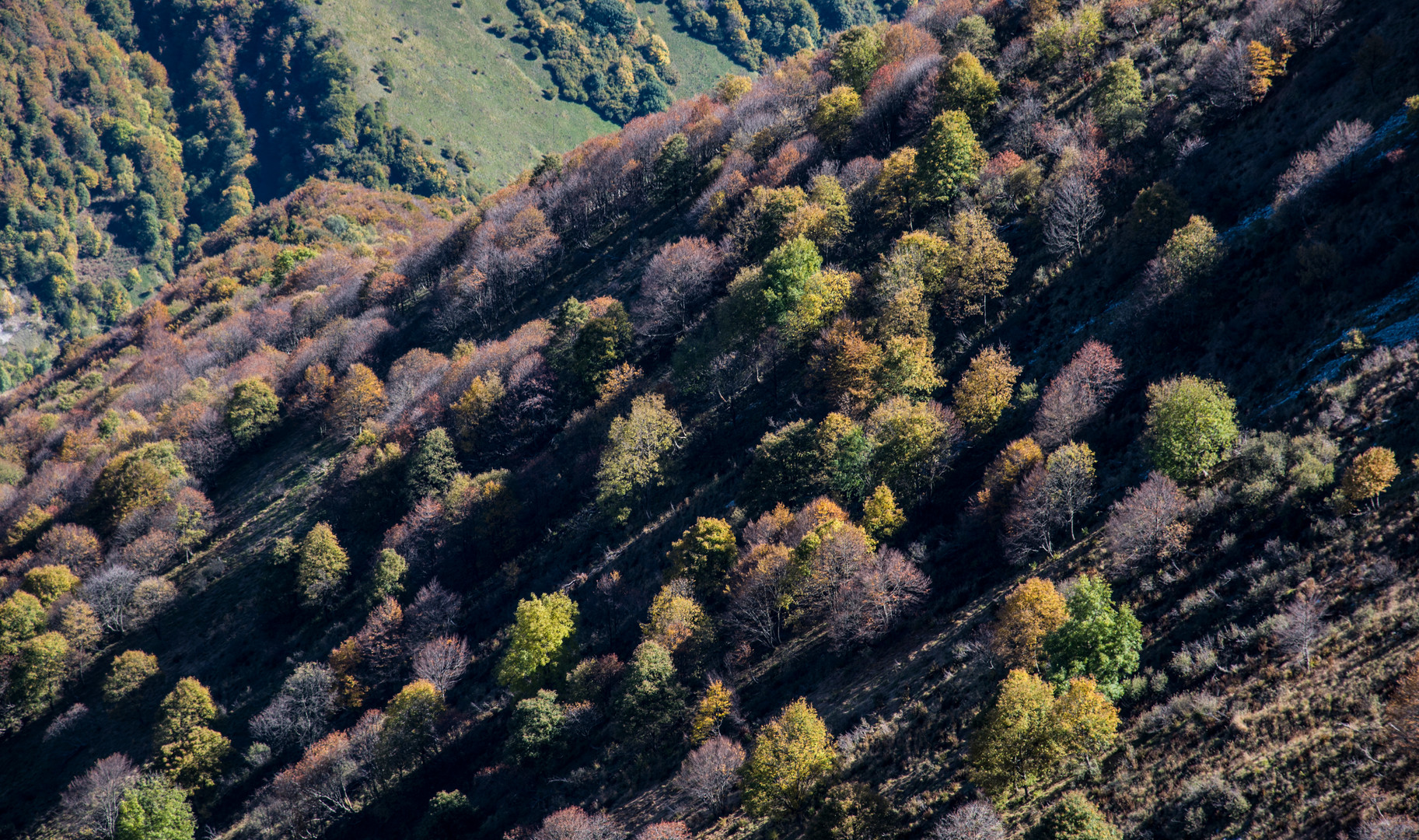 Am Monte Tamaro