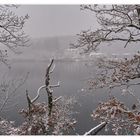 Am Montiggler See bei Schnee Regen