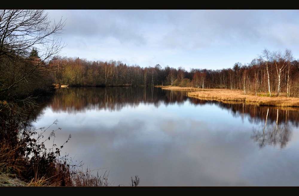 am Moorsee...