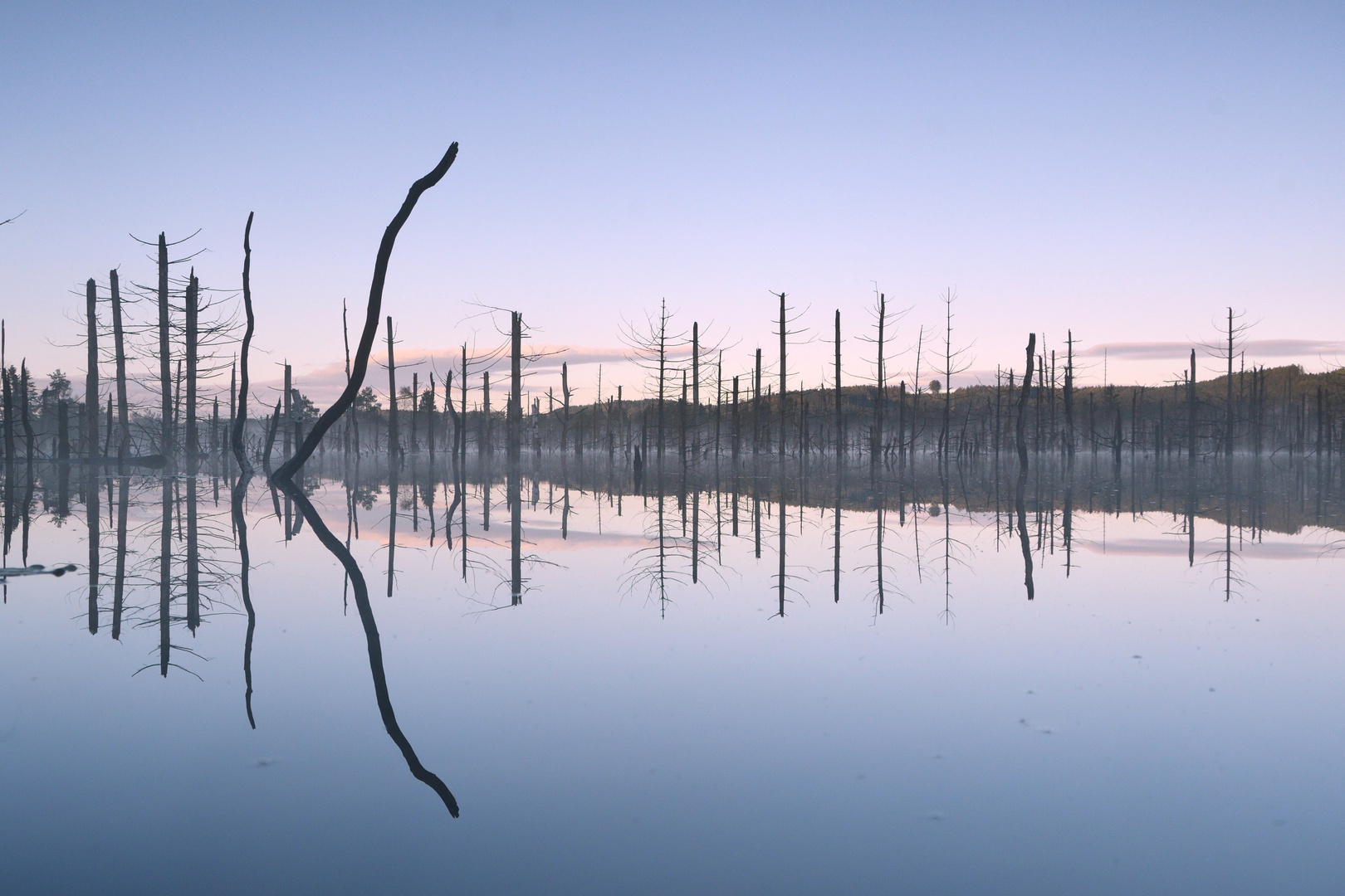 Am Moorsee