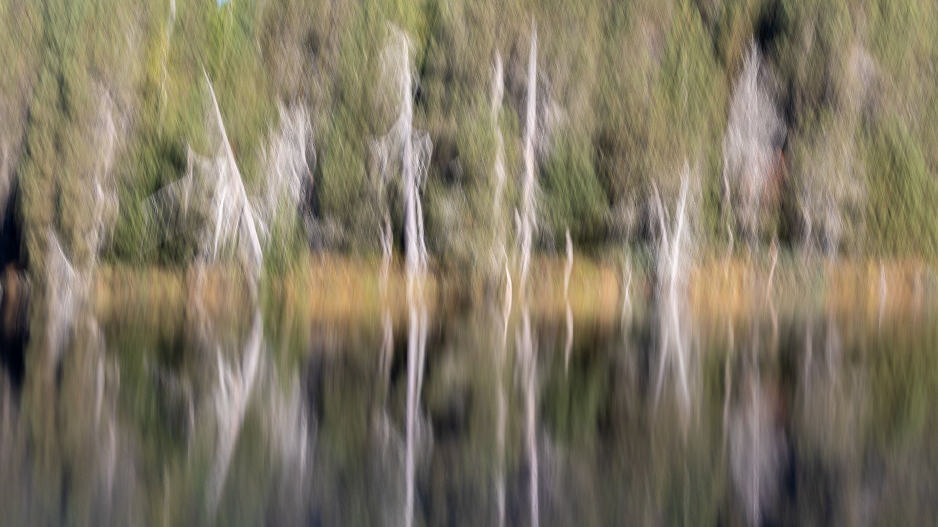 "Am Moorsee"-Bilderserie - Bild 10: Stilbruch mit einem ICM-Versuch