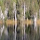 "Am Moorsee"-Bilderserie - Bild 10: Stilbruch mit einem ICM-Versuch