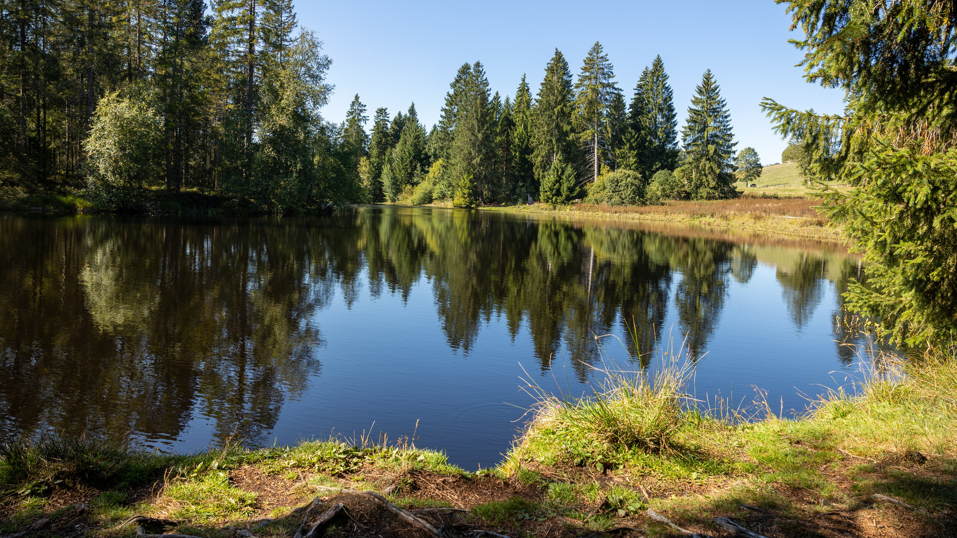 "Am Moorsee"-Bilderserie - Bild 13: Tolle Aussicht beim Picknick