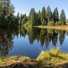 "Am Moorsee"-Bilderserie - Bild 13: Tolle Aussicht beim Picknick