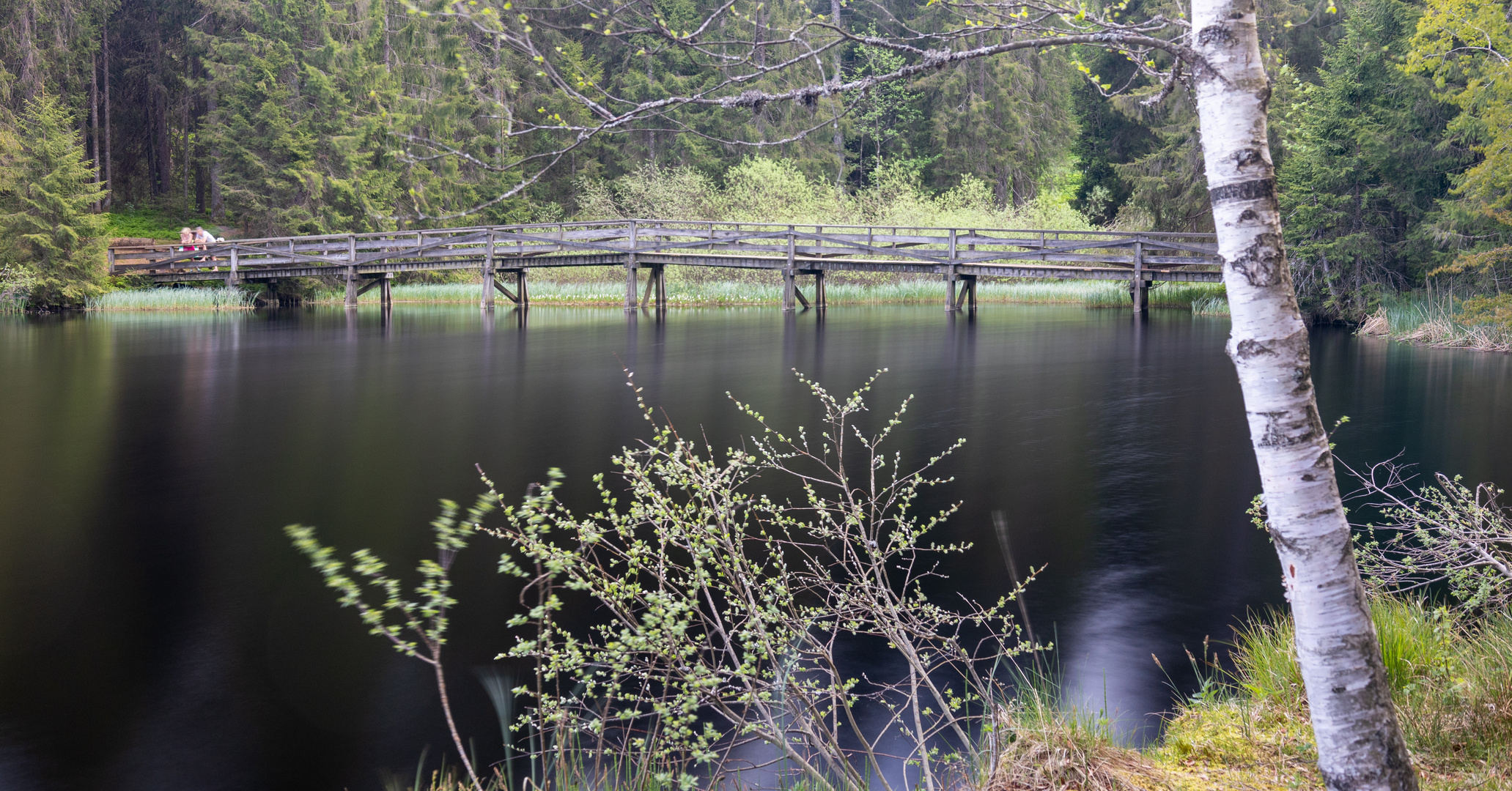 "Am Moorsee"-Bilderserie - Bild 14: Über diese Brücke musst du gehn