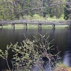 "Am Moorsee"-Bilderserie - Bild 14: Über diese Brücke musst du gehn