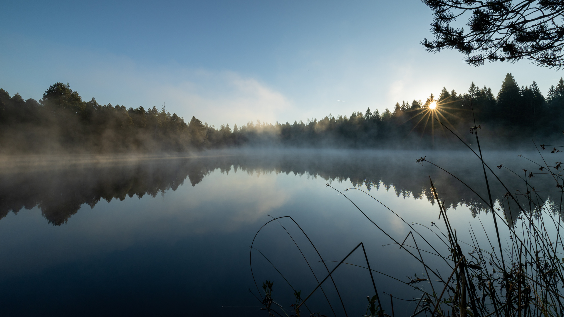 "Am Moorsee"-Bilderserie - Bild 4: Die Sonne zeigt sich und färbt die Nebelschwaden ein