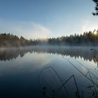 "Am Moorsee"-Bilderserie - Bild 4: Die Sonne zeigt sich und färbt die Nebelschwaden ein