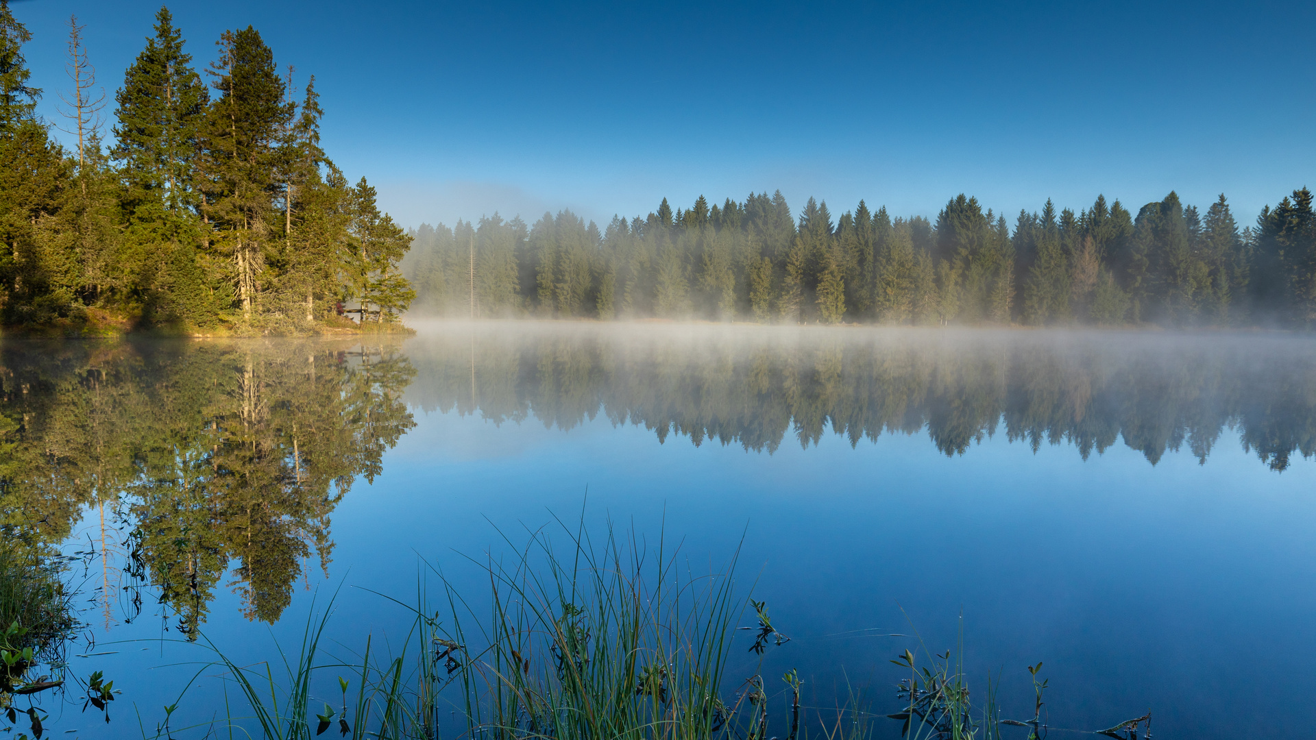 "Am Moorsee"-Bilderserie - Bild 7: Herbstliche Farbtöne zeichnen sich zur linken Seite ab