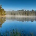 "Am Moorsee"-Bilderserie - Bild 7: Herbstliche Farbtöne zeichnen sich zur linken Seite ab