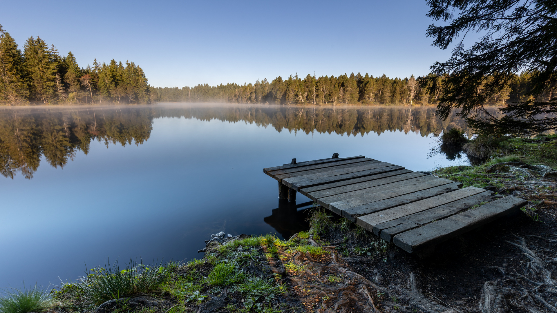 "Am Moorsee"-Bilderserie - Bild 8: Ein Sprung vom Steg in den Moorsee frohlockt